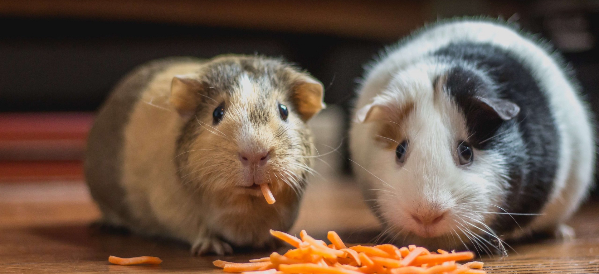 bonnie-kittle-mucxe_wdure-unsplash-1