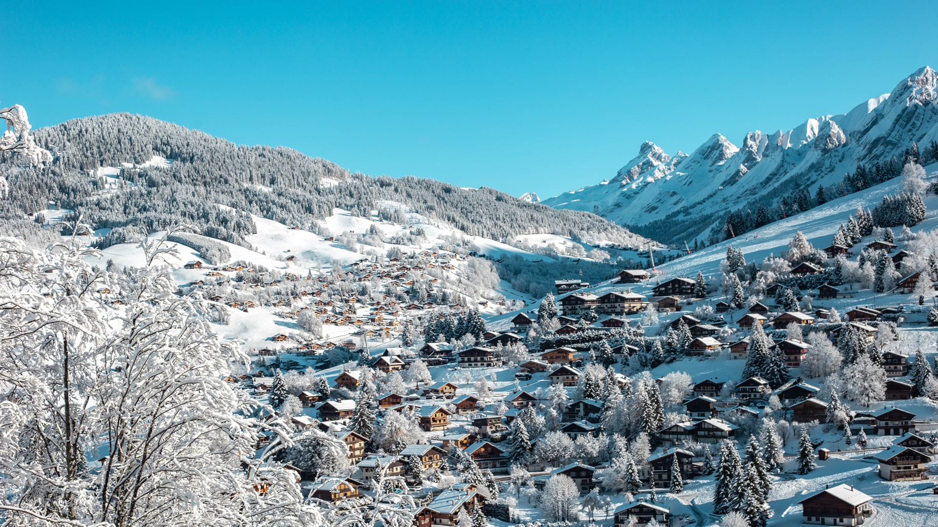 victoire-joncheray-unkzkziuqzq-unsplash-min victoire-joncheray-unkzkziuqzq-unsplash-min